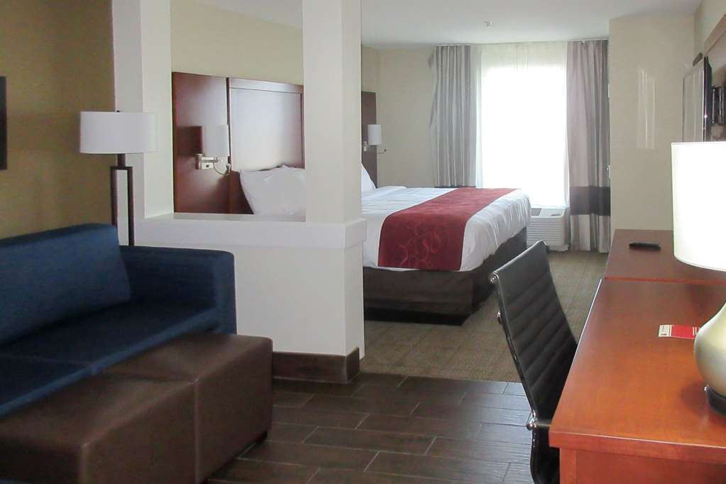 Comfort Suites Bowling Green Rum bild