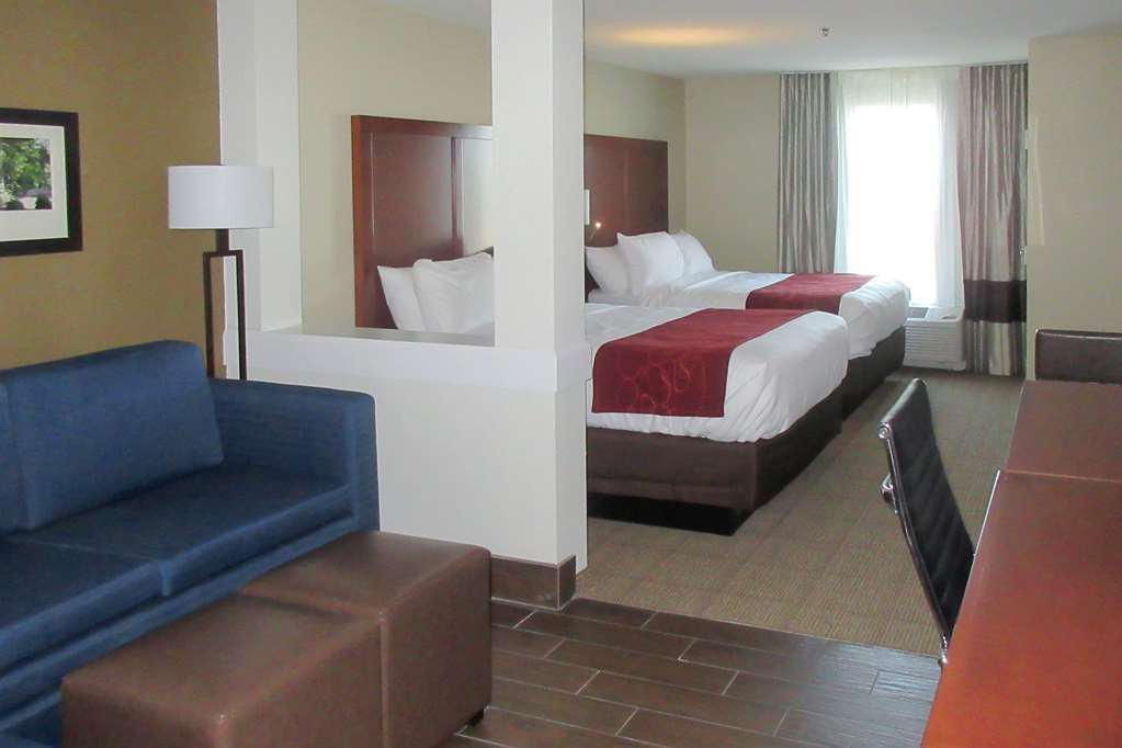 Comfort Suites Bowling Green Rum bild
